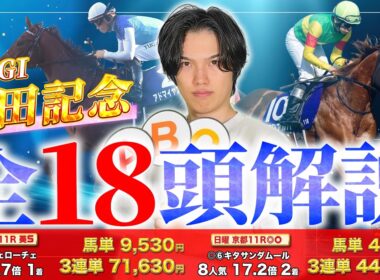 【2026安田記念・全18頭解説】日本ダービーG1パントルナイーフ4人気🥈＆葵Sデアヴェローチェ5人気🥇で絶好調のkotaが安田記念の鉄板データ分析と出走馬全18頭を徹底解説！