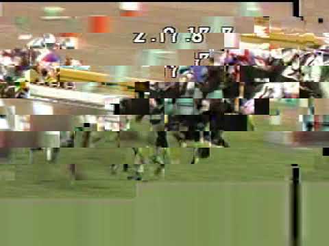 競馬 1983 1984 3冠+天皇賞秋 ミスターシービー