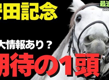 【安田記念2026攻略】「裏・鉄板ローテ！」東京マイルで絶対軸条件を満たす注目の1頭は！【競馬予想】