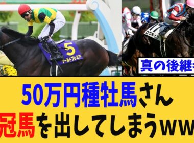【衝撃】50万円種牡馬さん、二冠馬を出してしまうｗｗｗ【競馬反応集】