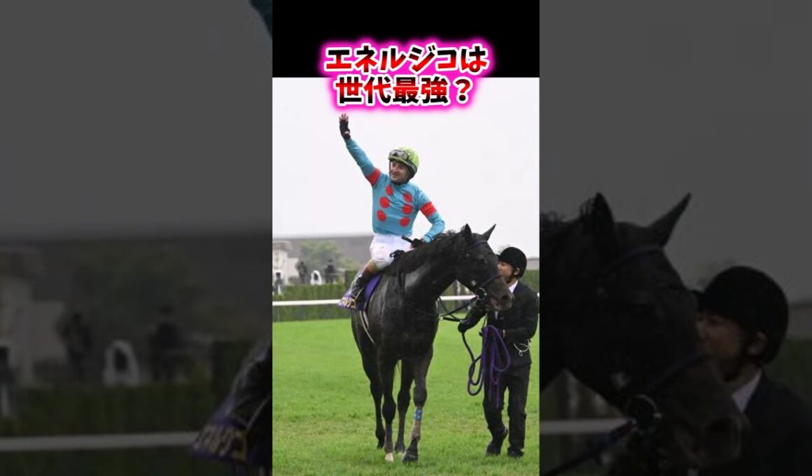 エネルジコは世代最強？【競馬反応集】#エネルジコ　#菊花賞　#ルメール