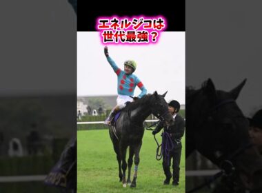 エネルジコは世代最強？【競馬反応集】#エネルジコ　#菊花賞　#ルメール