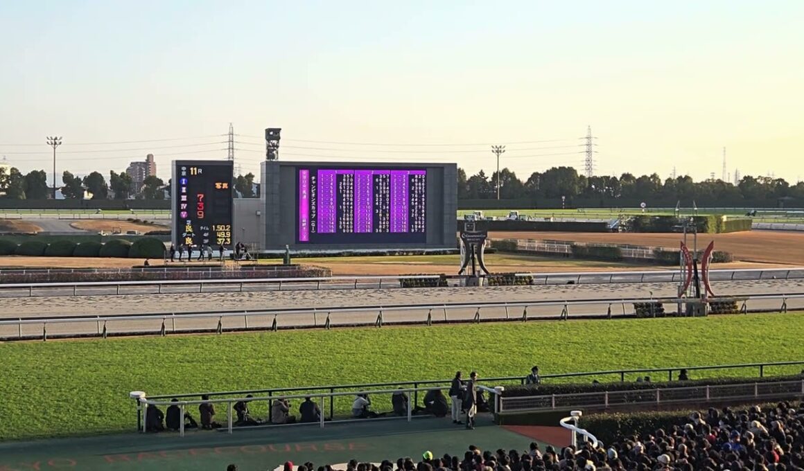 2025/12/7 第26回 チャンピオンズカップ(G1)　中京競馬場