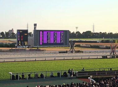 2025/12/7 第26回 チャンピオンズカップ(G1)　中京競馬場