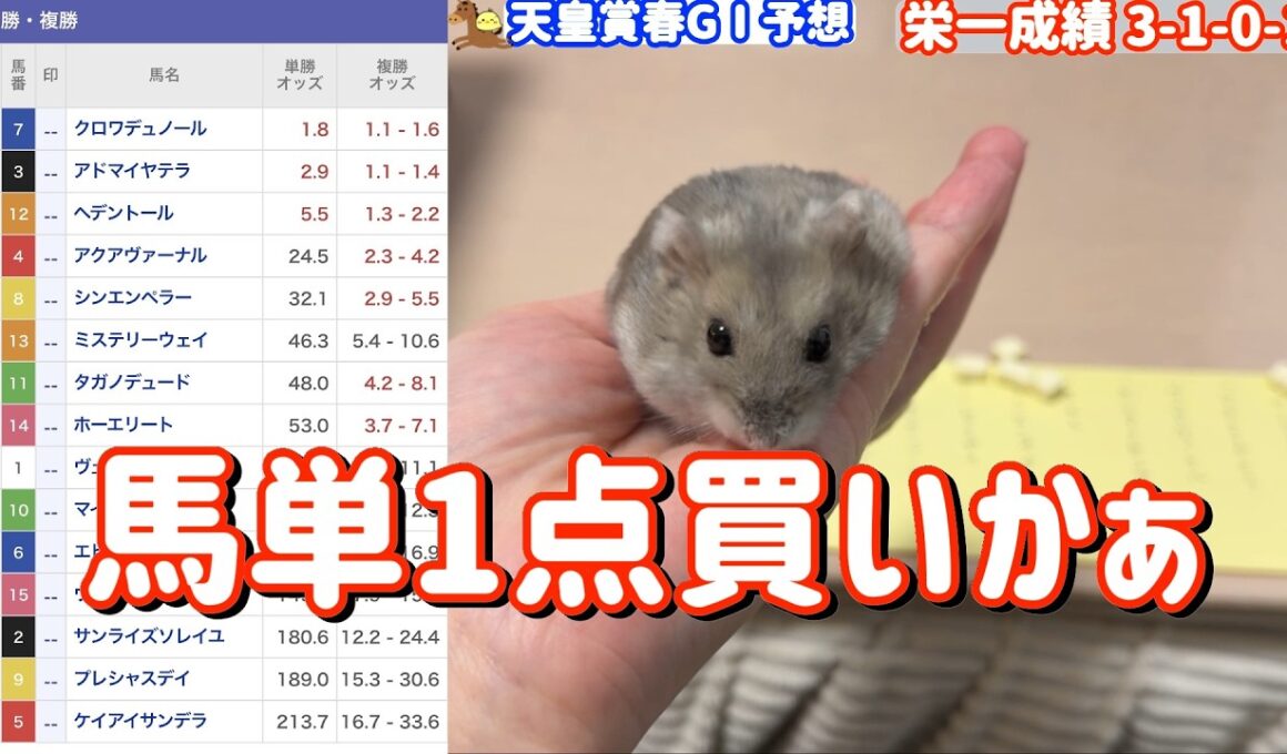 競馬予想【GⅠ天皇賞・春🐎 2026.5.3】80％連対中のハムスター栄一予想！今回はこの馬だ！