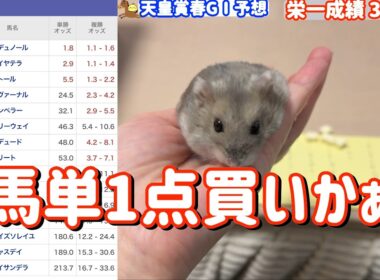 競馬予想【GⅠ天皇賞・春🐎 2026.5.3】80％連対中のハムスター栄一予想！今回はこの馬だ！