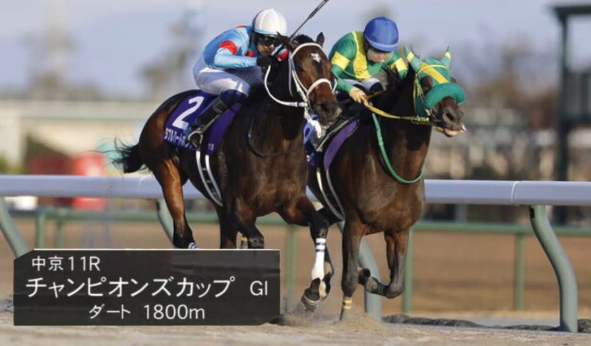 2025年第26回チャンピオンズカップ(G1)本場馬入場