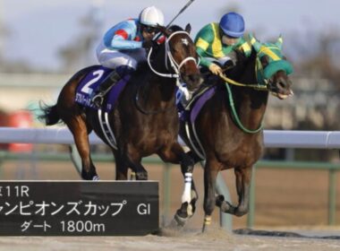 2025年第26回チャンピオンズカップ(G1)本場馬入場