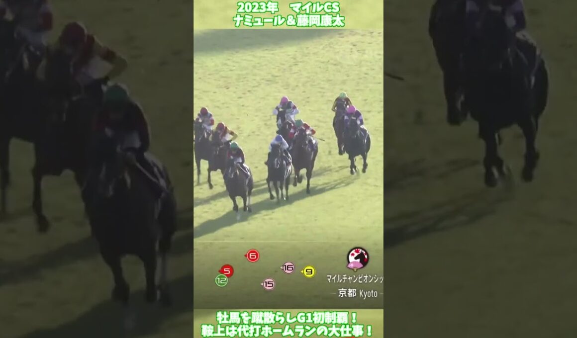 【競馬】『ナミュール』代打騎乗でホームラン！【マイルCS】 #short