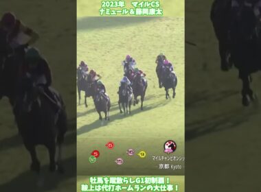 【競馬】『ナミュール』代打騎乗でホームラン！【マイルCS】 #short