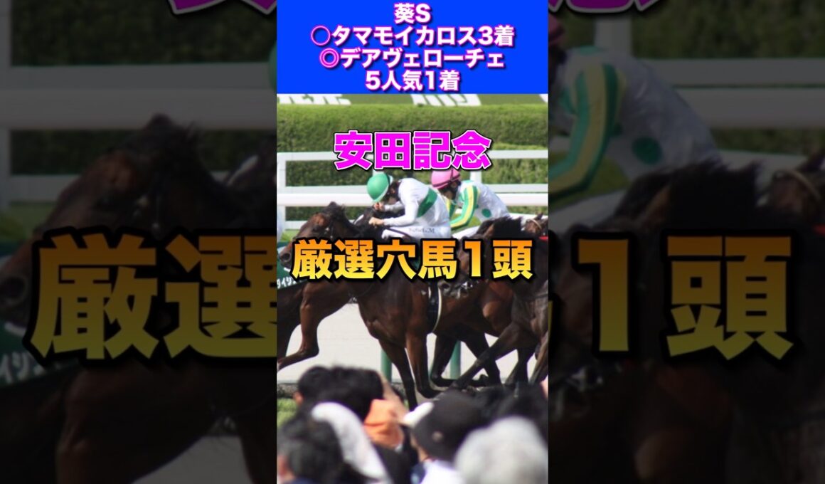 【安田記念2026厳選穴馬1頭】先週◎デアヴェローチェ1着🎯◎ダノンシーマ3着🔥