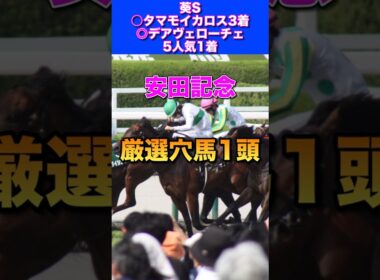【安田記念2026厳選穴馬1頭】先週◎デアヴェローチェ1着🎯◎ダノンシーマ3着🔥