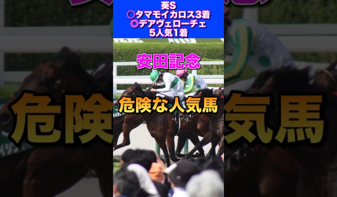 【安田記念2026危険な人気馬】先週◎デアヴェローチェ1着🎯◎ダノンシーマ3着🔥