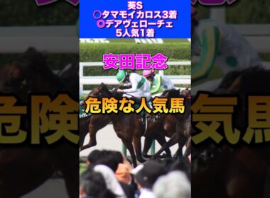 【安田記念2026危険な人気馬】先週◎デアヴェローチェ1着🎯◎ダノンシーマ3着🔥