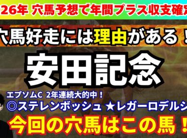 【安田記念2026】LAP分析から攻略ポイント発見！安田記念で狙いたい穴馬を紹介！