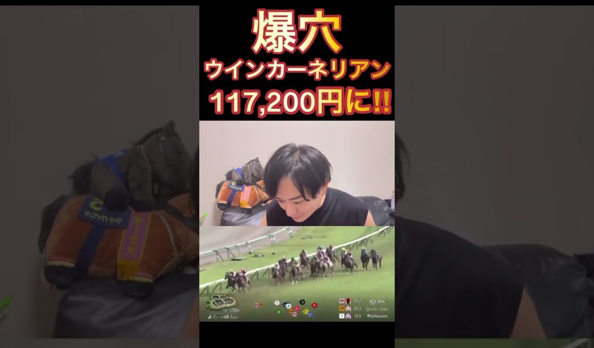 【スプリンターズS】爆穴ウインカーネリアン１着‼️117,000円買い目先出し的中🎯 #スプリンターズステークス#ウインカーネリアン#的中#先出し#宣言競馬#爆穴#穴馬