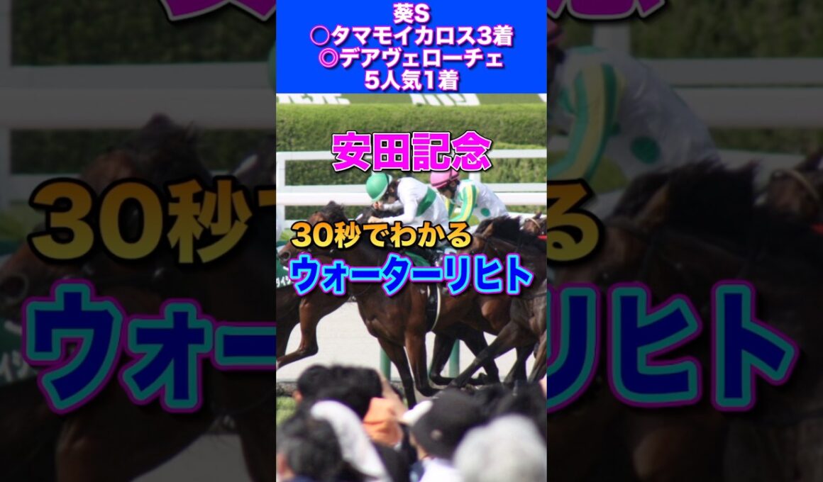 【安田記念2026】30秒でわかるウォーターリヒト
