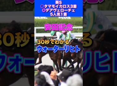 【安田記念2026】30秒でわかるウォーターリヒト