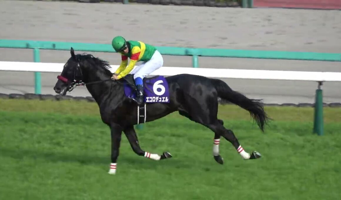 【中山グランドジャンプ2026】エコロデュエルがレコード勝利でGⅠ3連勝‼ 全馬完走にスタンドから拍手とエコロコール 現地映像 ウイニングラン