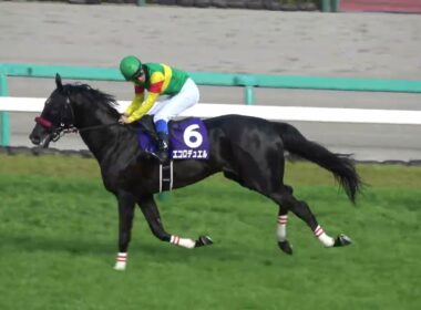 【中山グランドジャンプ2026】エコロデュエルがレコード勝利でGⅠ3連勝‼ 全馬完走にスタンドから拍手とエコロコール 現地映像 ウイニングラン