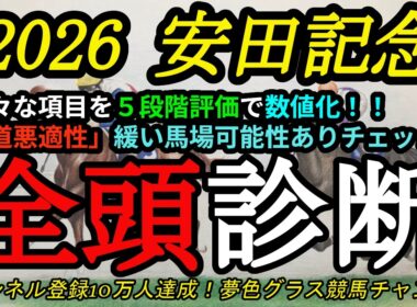 【全頭診断】2026安田記念！大混戦模様の安田記念を考える！コースや距離に合っている馬は？