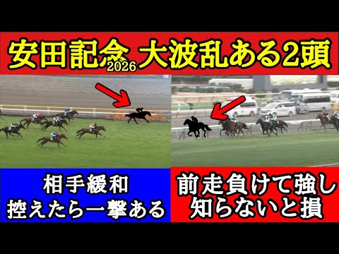 【安田記念2026】厳選穴馬2頭！想定10人気以下が激アツ！今年ほど荒れそうな年は珍しいです