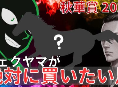 秋華賞2025　サイン考察
