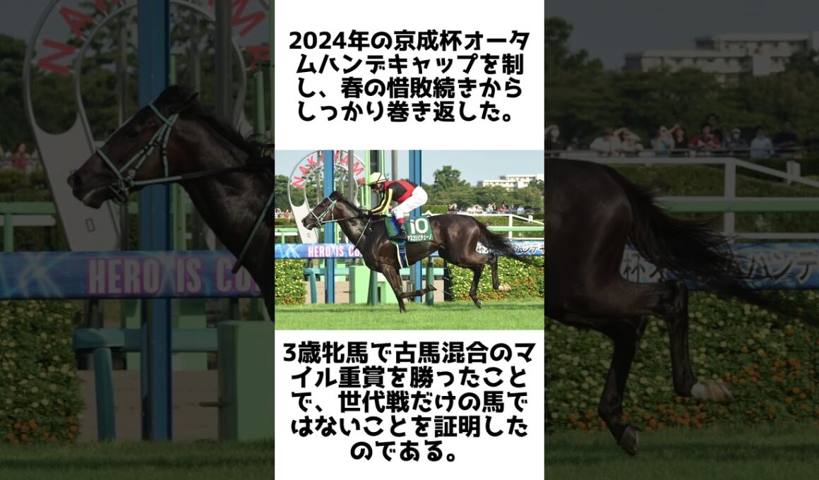 2歳女王からマイル女王へ！アスコリピチェーノの雑学5選 #競馬 #shorts #1分雑学 #アスコリピチェーノ #馬