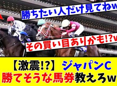 【ジャパンカップ】【激震!?】ジャパンCで勝てそうな馬券を教えろwww