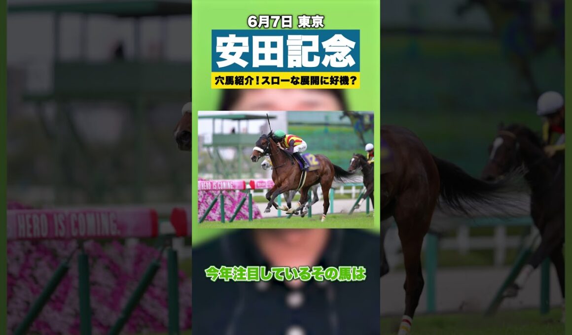 【安田記念2026】穴候補をオススメ！中距離タイプにもチャンス有り？【スポナビ競馬】