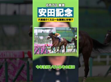 【安田記念2026】穴候補をオススメ！中距離タイプにもチャンス有り？【スポナビ競馬】