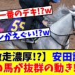 【安田記念】【激走濃厚!?】あの馬が抜群の動き!?w