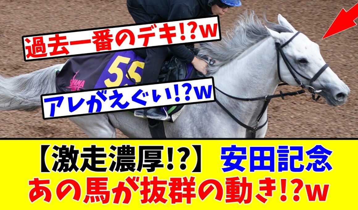 【安田記念】【激走濃厚!?】あの馬が抜群の動き!?w