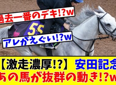 【安田記念】【激走濃厚!?】あの馬が抜群の動き!?w
