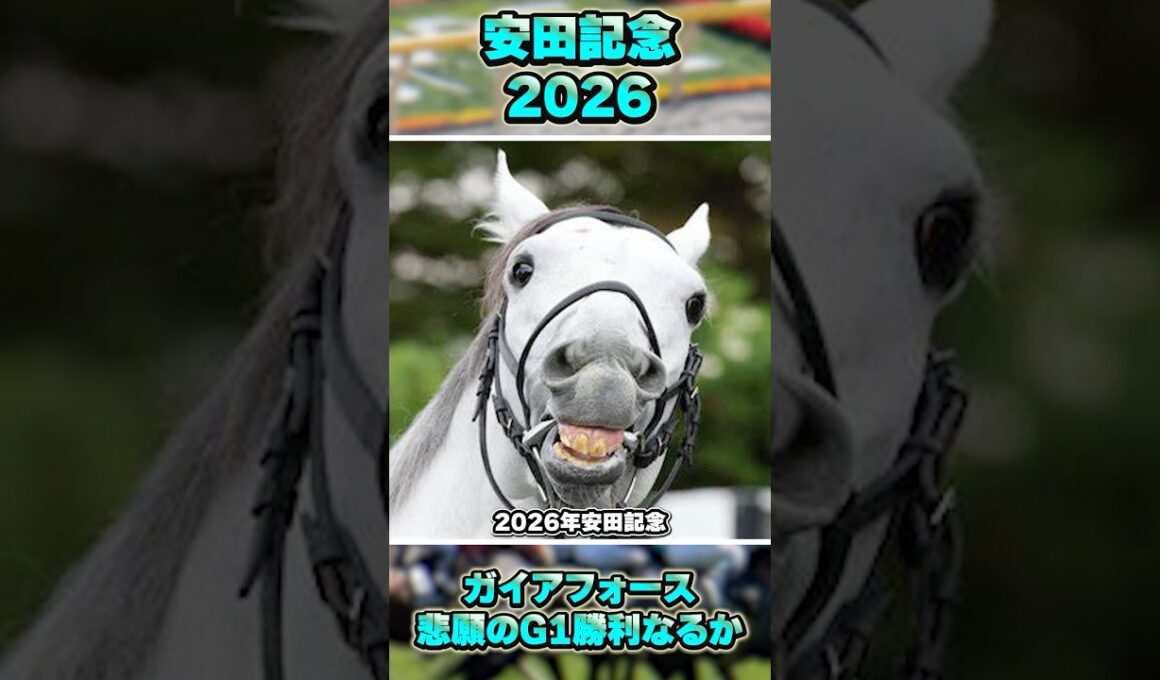 【安田記念2026】ガイアフォースG1馬になれ！！！ #shorts #競馬 #競馬予想 #中央競馬予想 #馬 #安田記念 #ガイアフォース #横山武史 #ジャンタルマンタル