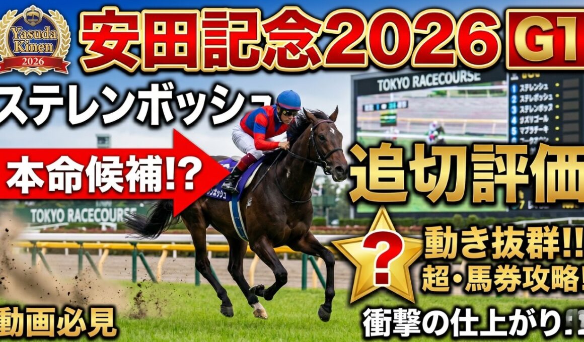 🎯【安田記念2026】戦国時代！アドマイヤズーム徹底解説＆ステレンボッシュの仕上がりから見えた超・馬券攻略！ロングラン！| 貴方はパンジャタワーが勝つと思いますか⁉️