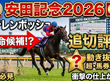 🎯【安田記念2026】戦国時代！アドマイヤズーム徹底解説＆ステレンボッシュの仕上がりから見えた超・馬券攻略！ロングラン！| 貴方はパンジャタワーが勝つと思いますか⁉️