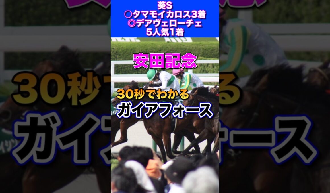 【安田記念2026】30秒でわかるガイアフォース