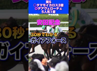【安田記念2026】30秒でわかるガイアフォース