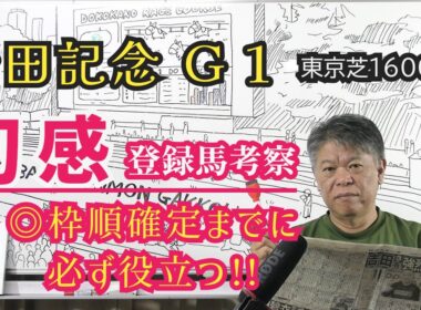 【安田記念2026】予習動画  今年の安田記念はどんな馬達のレース！？先ずは登録馬を初感(ファーストインプレッション)にて考察します！