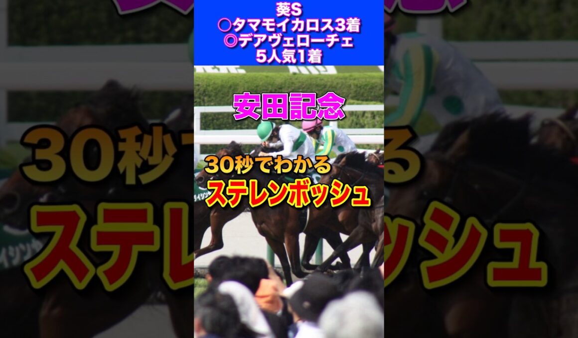 【安田記念2026】30秒でわかるステレンボッシュ