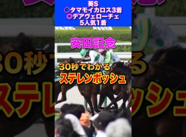 【安田記念2026】30秒でわかるステレンボッシュ