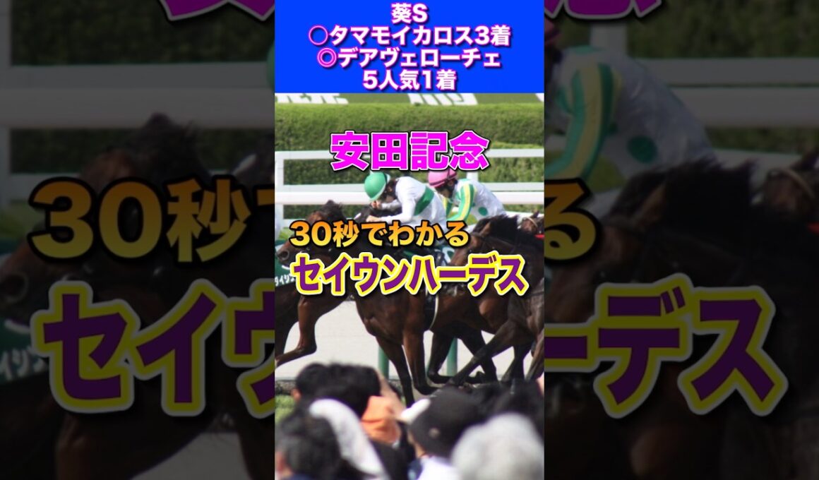 【安田記念2026】30秒でわかるセイウンハーデス