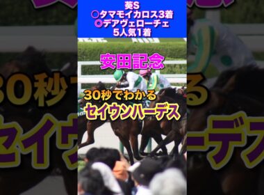 【安田記念2026】30秒でわかるセイウンハーデス