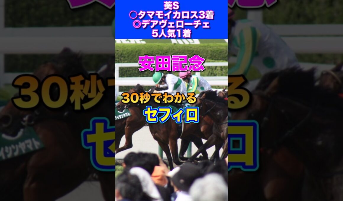 【安田記念2026】30秒でわかるセフィロ