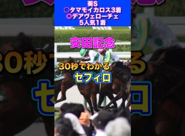 【安田記念2026】30秒でわかるセフィロ