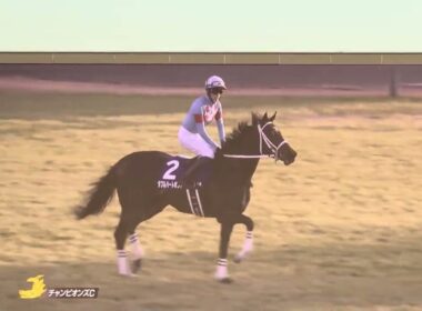 第26回チャンピオンズカップ（中山競馬場ターフビジョンから）