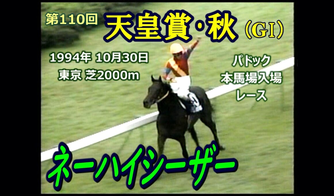 1994年 第110回  天皇賞･秋（ GI ）ネーハイシーザー　 （ セキテイリュウオー / ビワハヤヒデ）