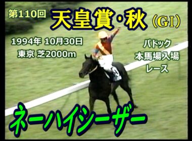 1994年 第110回  天皇賞･秋（ GI ）ネーハイシーザー　 （ セキテイリュウオー / ビワハヤヒデ）