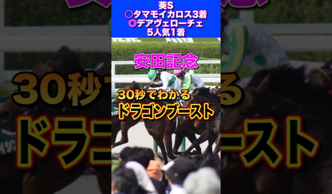 【安田記念2026】30秒でわかるドラゴンブースト